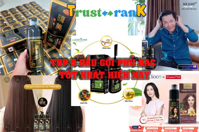 Top 5 dầu gội phủ bạc tốt nhất hiện nay